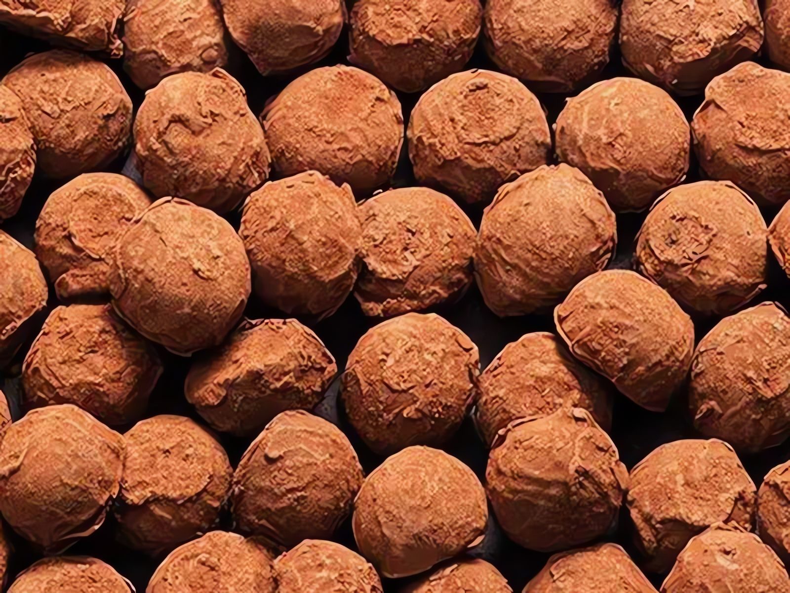 Truffes au cacao Rivera Cacao